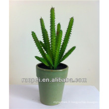 Mini cactus artificiel de plantes succulentes artificielles pour la vente en gros avec un prix heureux